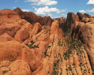 Moab 6-Mile Rappelling Tour
