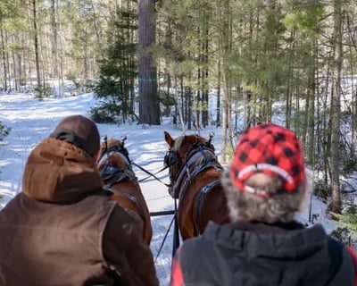 Private Sleigh Ride in Gwinn