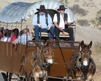 Mule-Drawn Covered Wagon Tour in Coachella Valley