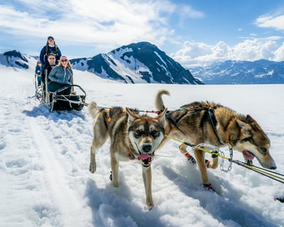 Helicopter and Glacier Dogsled Tour