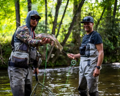 Full-Day Guided Fly Fishing Lesson in Rosman