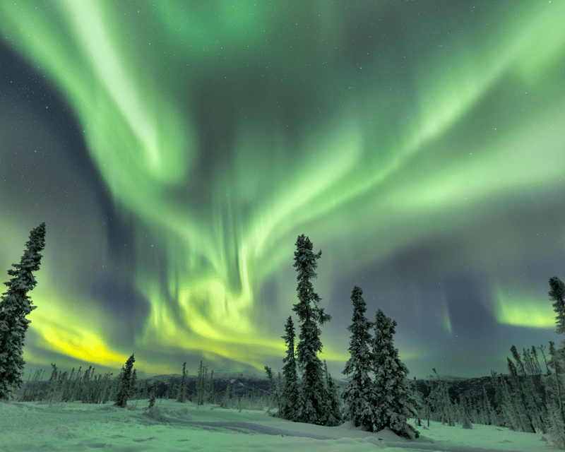 View the Northern Lights at Charlie Dome