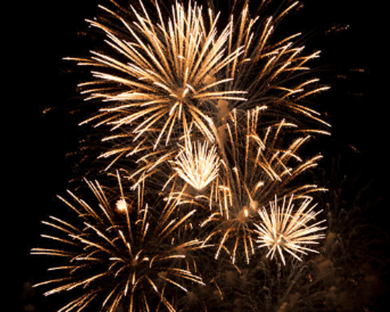 Glow Segway Tour & Fireworks in Egg Harbor