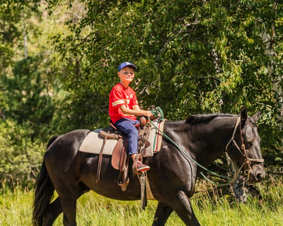 Lead-Through Pony Ride in Hill City