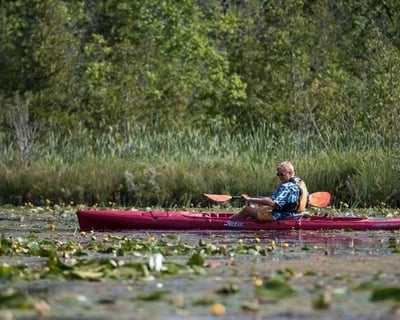Guided Eco Estuary Kayak Tour in Door County
