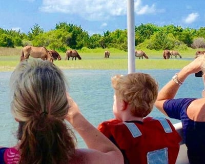 Wild Horse Cruise of Rachel Carson Reserve