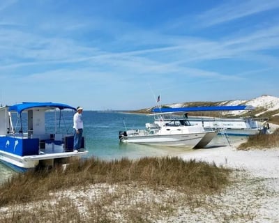 Pensacola Dolphin Cruise with Snorkel & Beach