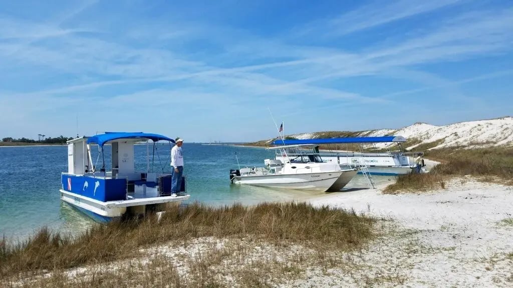 Pensacola Dolphin Cruise with Snorkel & Beach