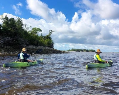 2-Hour Guided Kayak Tour in Carolina Beach
