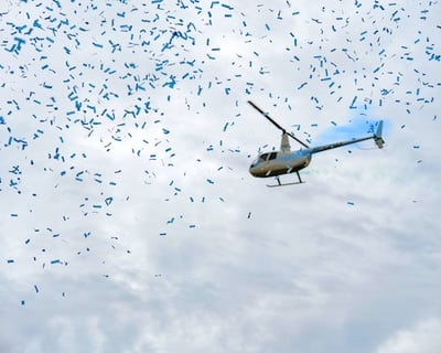 Tampa Gender Reveal Helicopter Flight