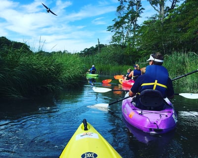 Kayak & Glass Blowing Experience in Cape Cod