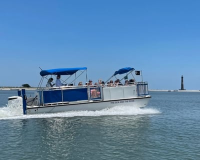 2 Hour Dolphin & Morris Island Shelling Cruise