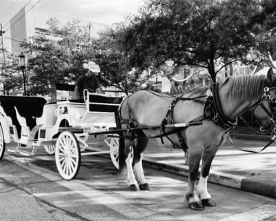 30-Minute Romantic Carriage Tour in Galveston