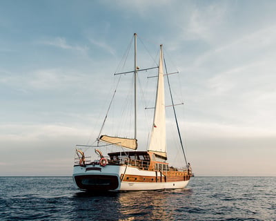 4-Hour Snorkel Cruise in Cabo San Lucas