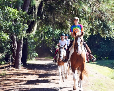 Guided Horseback Trail Ride in Sea Pines Forest Preserve