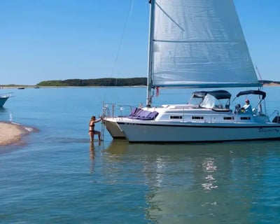 Cruise Wellfleet Harbor on a 3-Hour Morning Charter
