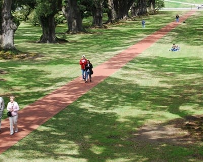 Oak Alley Plantation & Swamp Airboat Tour From New Orleans