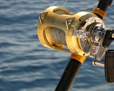Cozumel Deep Sea Fishing Charter