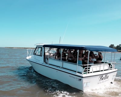 Private Water Taxi to Daufuskie Island From Savannah