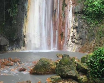 Diamond Falls Botanical Gardens Tour