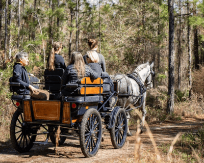 1-Hour Carriage Ride Through Goethe State Forest