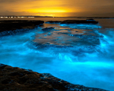 Clear Kayak Bioluminescence Tour in Orlando