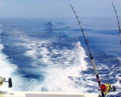 Striped Bass Fishing Charter on New Jersey Coast