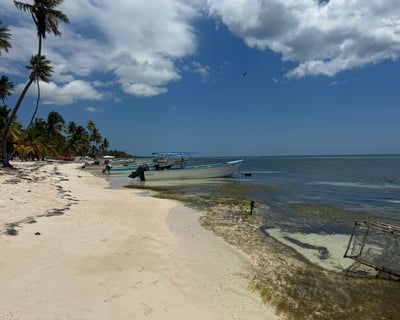 6-Hour Private Charter From Palmas Del Mar