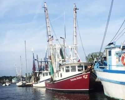 Charleston 2-Hour Historic Harbor Tour