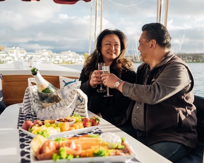 Foster City Lagoon Private Electric Boat Tour with Driver