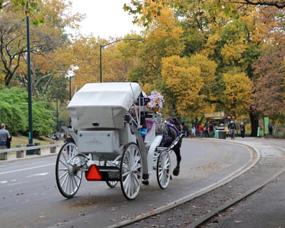 30-Minute Evening Horse Carriage Ride in Central Park
