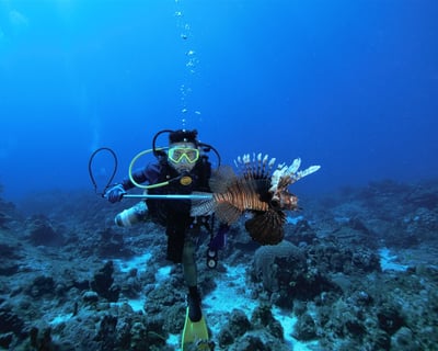 Guided Shore Dive Tour in Tres Palmas Marine Reserve