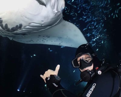 2-Tank Night Manta Ray Dive in Kailua-Kona