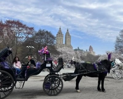 40-45 Minute Central Park Carriage Ride Tour