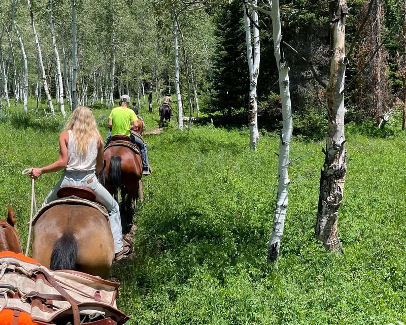 Half-Day Mountain Horseback Trail Ride in Kamas