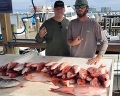 Orange Beach 4-Hour Inshore Fishing Charter