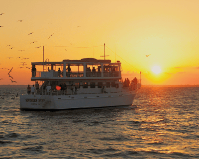 Dolphins & Sunset from Glass Bottom Boat