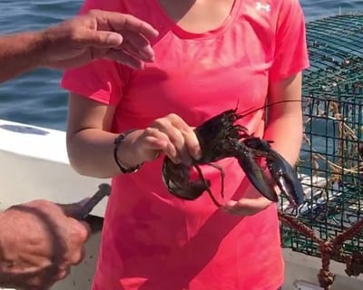 Haul Lobster Traps & Cruise Saco Bay