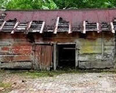 Explore Laura Plantation & Swamp Airboat Tour From New Orleans