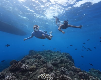 2.5-Hour Snorkel Sail Cruise From Ko Olina