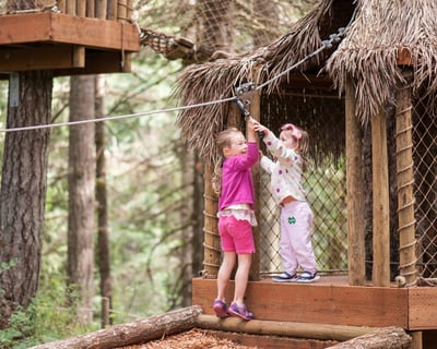 Kids' Tree Fort Playground in Gaston
