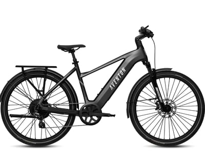 Union Pier Step-Over E-Bike Rental