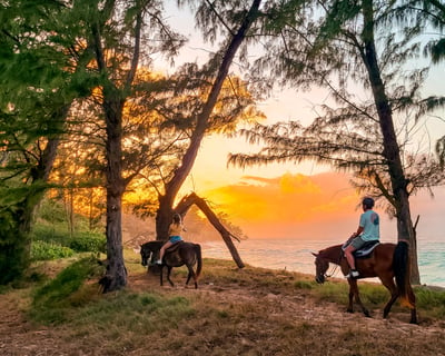 Ride a Private Sunset Horseback Tour on Oahu