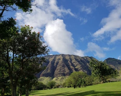 Oahu Island Tour With Dole Plantation Visit
