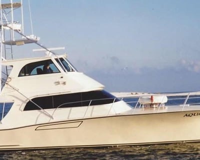 Orange Beach Bottom Fishing Charter