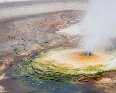 Explore Yellowstone on an 8-Hour Guided Tour