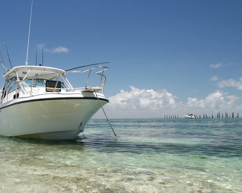 Private Sandbar Boat Charter Near Daytona Beach