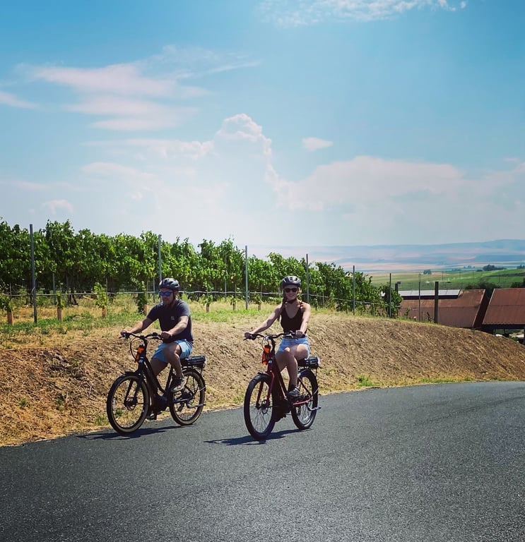 Edmonds Wine Bike Tour with Tastings