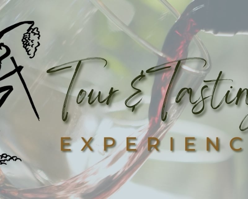 Winery Tour & Tank Room Wine Tasting in Harleton, TX