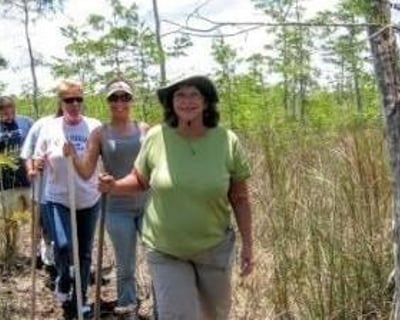 Guided Everglades Wet Walk Adventure & Boat Rides